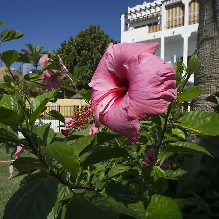 Turisticos Rio Marinas * Nerja