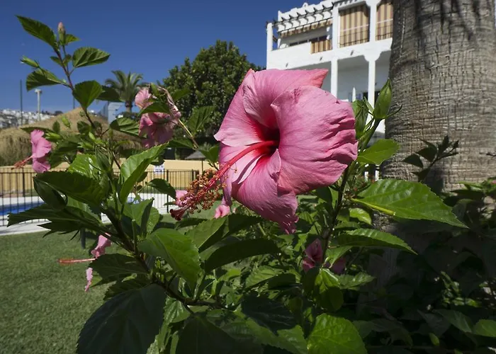 Turisticos Rio Marinas * Nerja